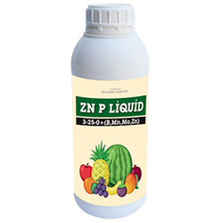 zn-p-liquid