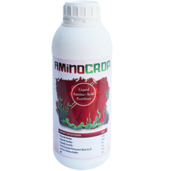 aminocrop