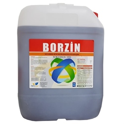 borzin