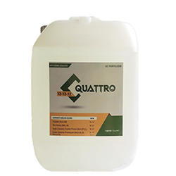 quatro-(12.12.12)