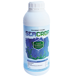 seacrop